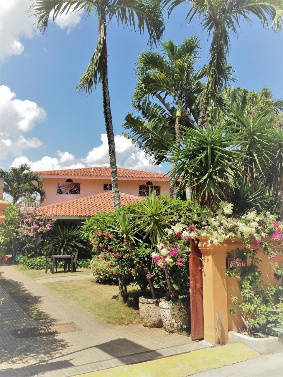 Casa Felicita B&B Y Apartamentos Bayahibe Buitenkant foto